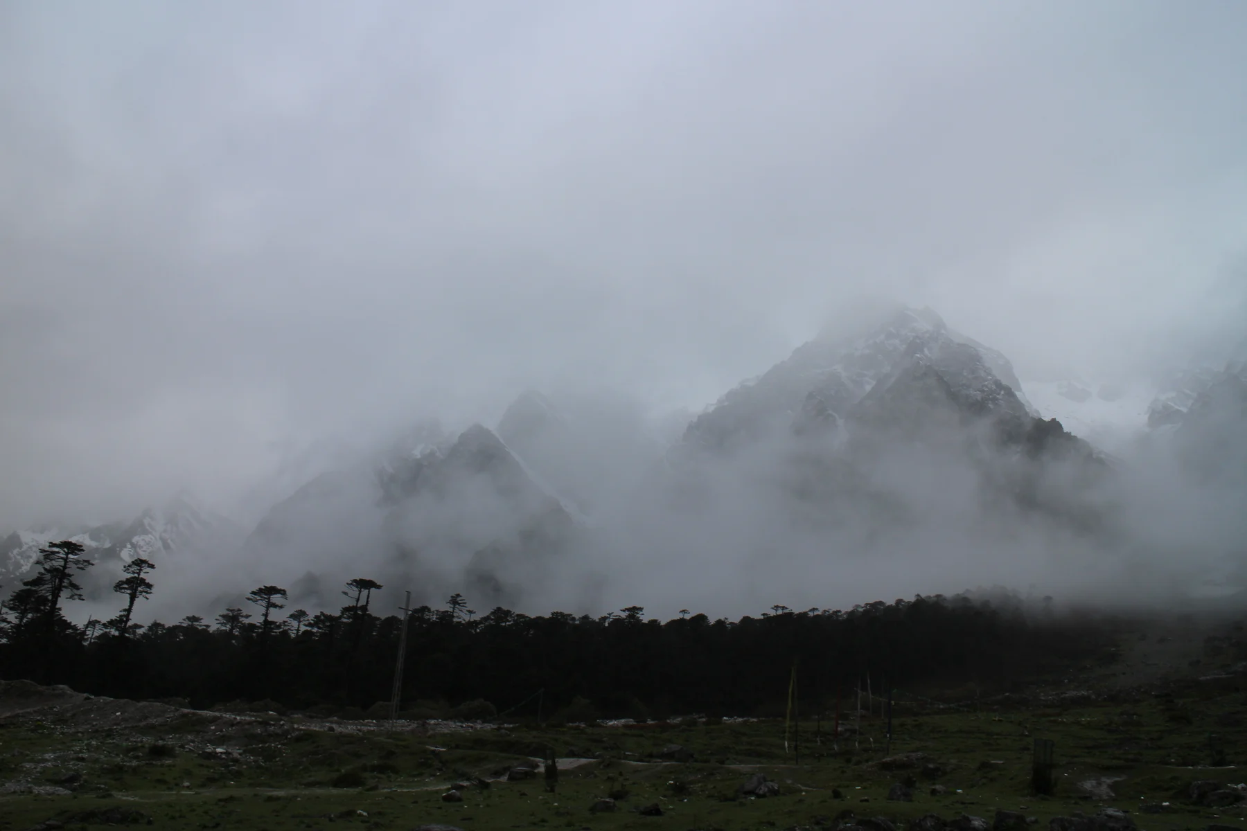 Misty mountain landscape in Yumthang Valley