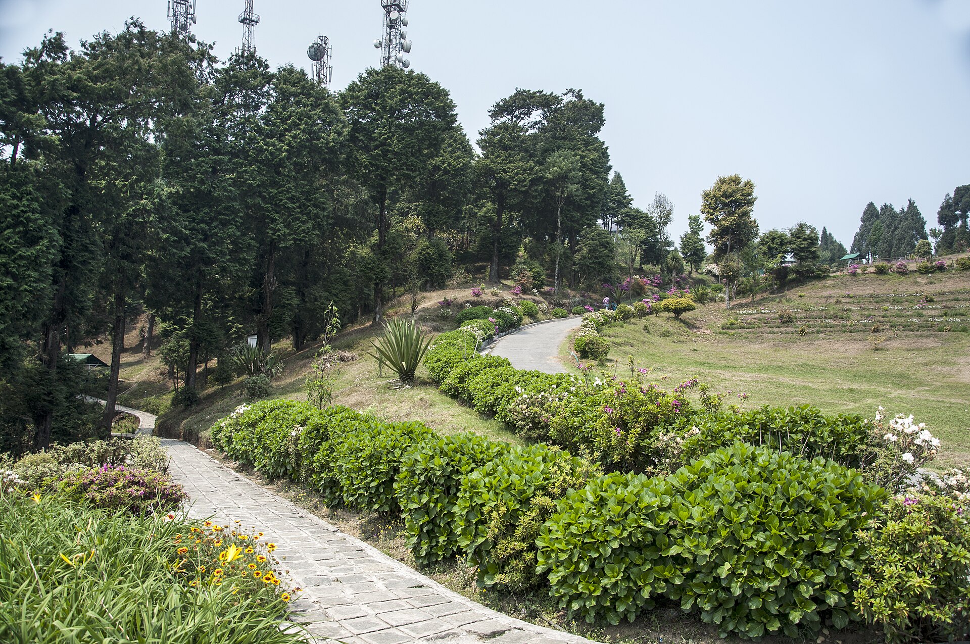 Deolo Hill gardens in Kalimpong